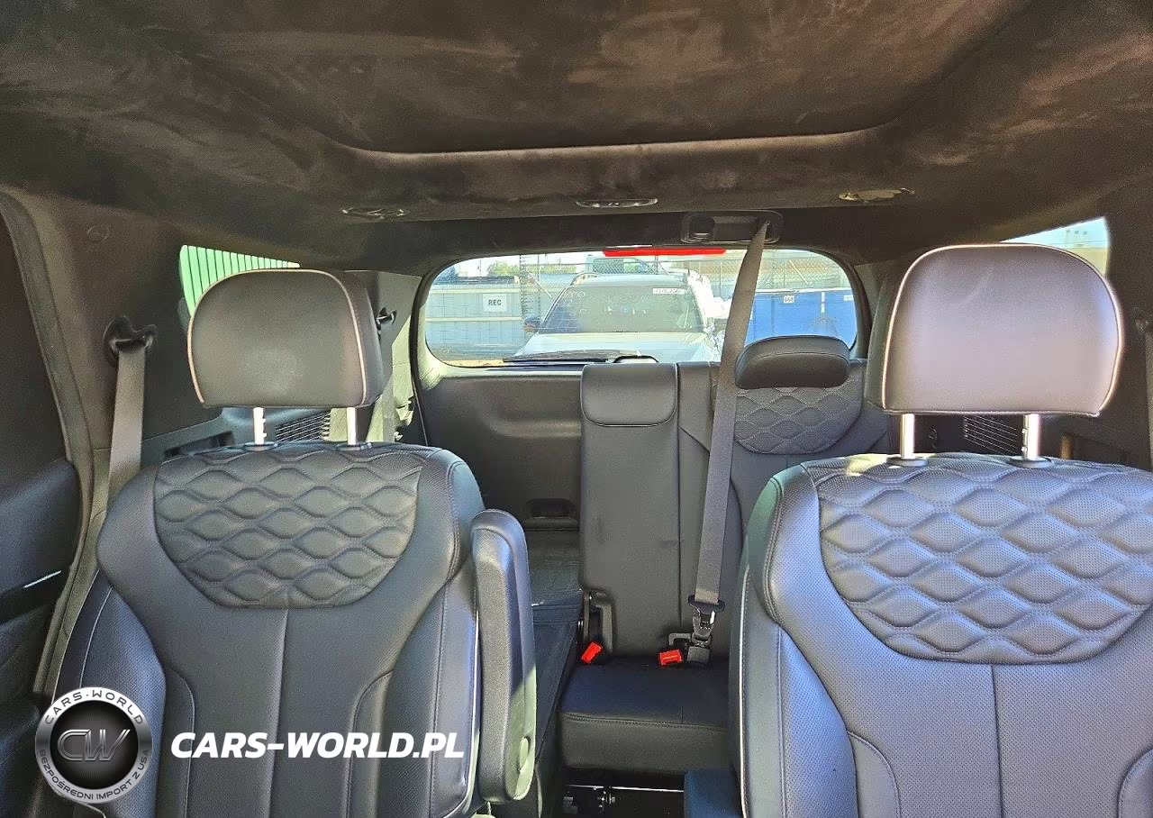 2022 Hyundai Palisade Calligraphy VIN:KM8R74HE9NU419924 - 10