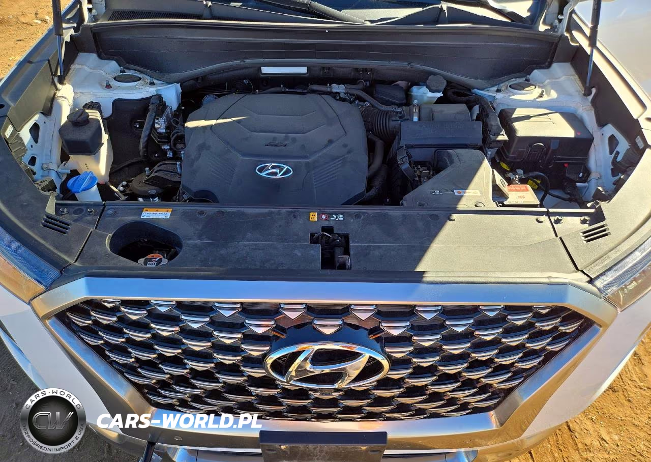 2022 Hyundai Palisade Calligraphy VIN:KM8R74HE9NU419924 - 12