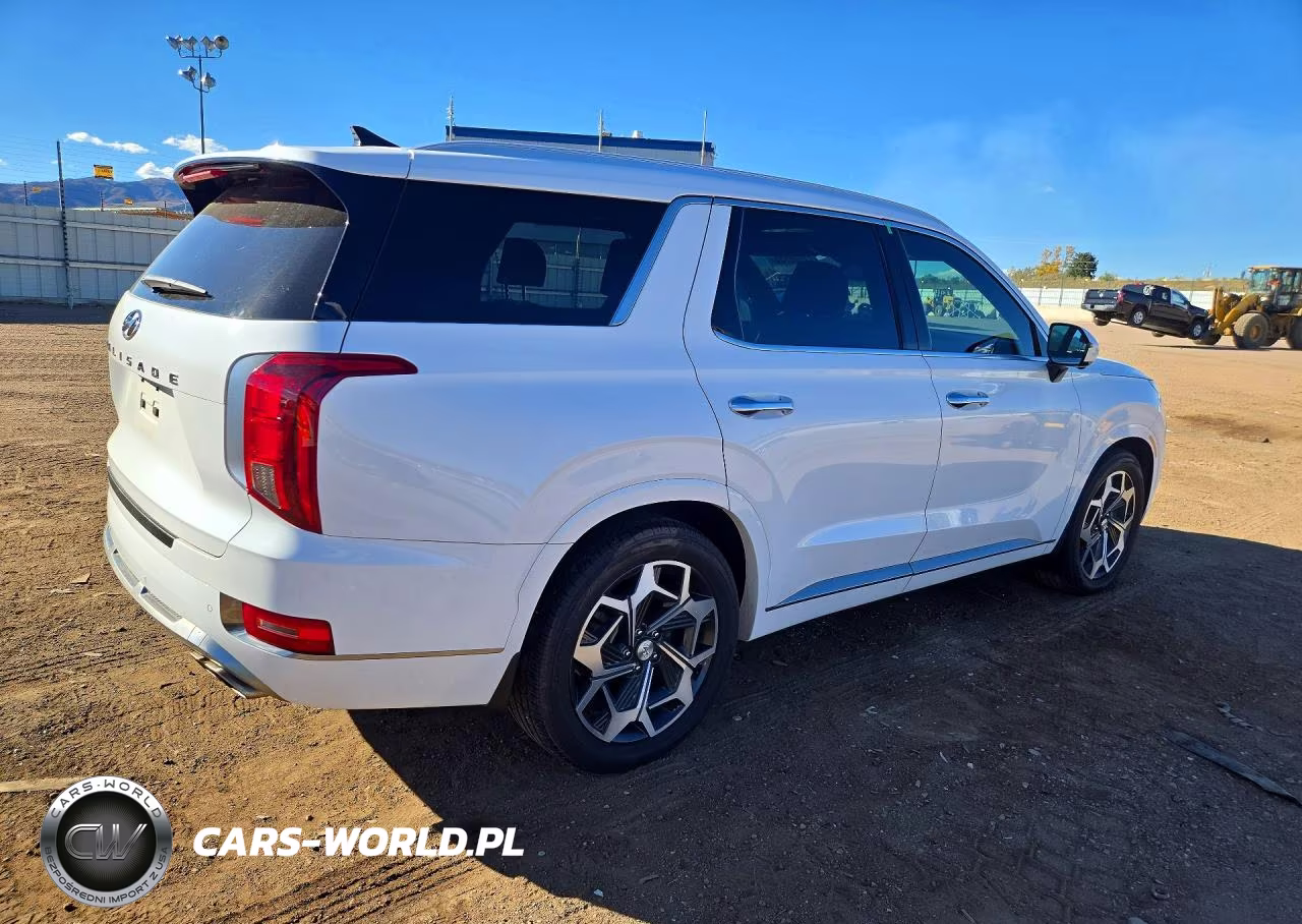 2022 Hyundai Palisade Calligraphy VIN:KM8R74HE9NU419924 - 3