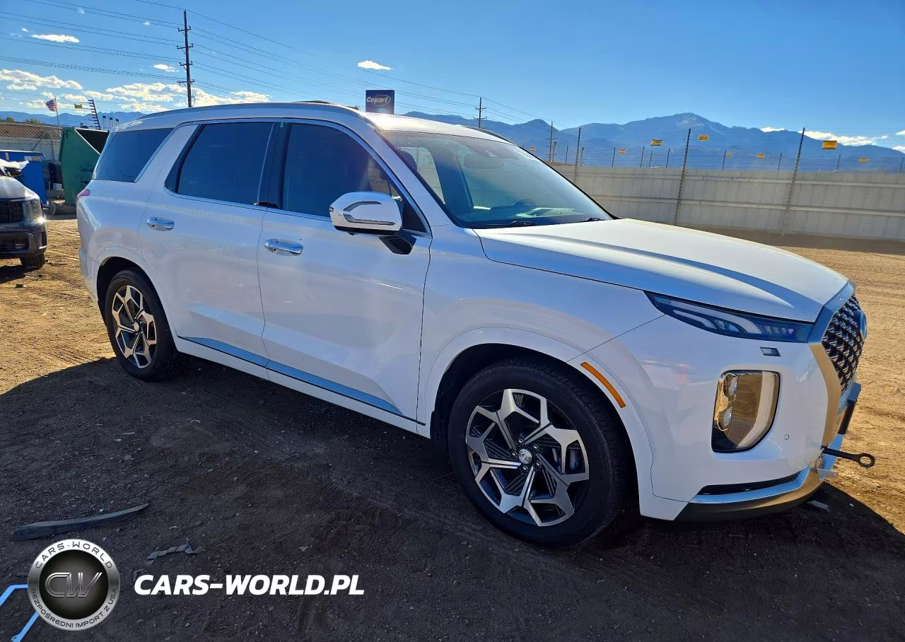 2022 Hyundai Palisade Calligraphy VIN:KM8R74HE9NU419924 - 4