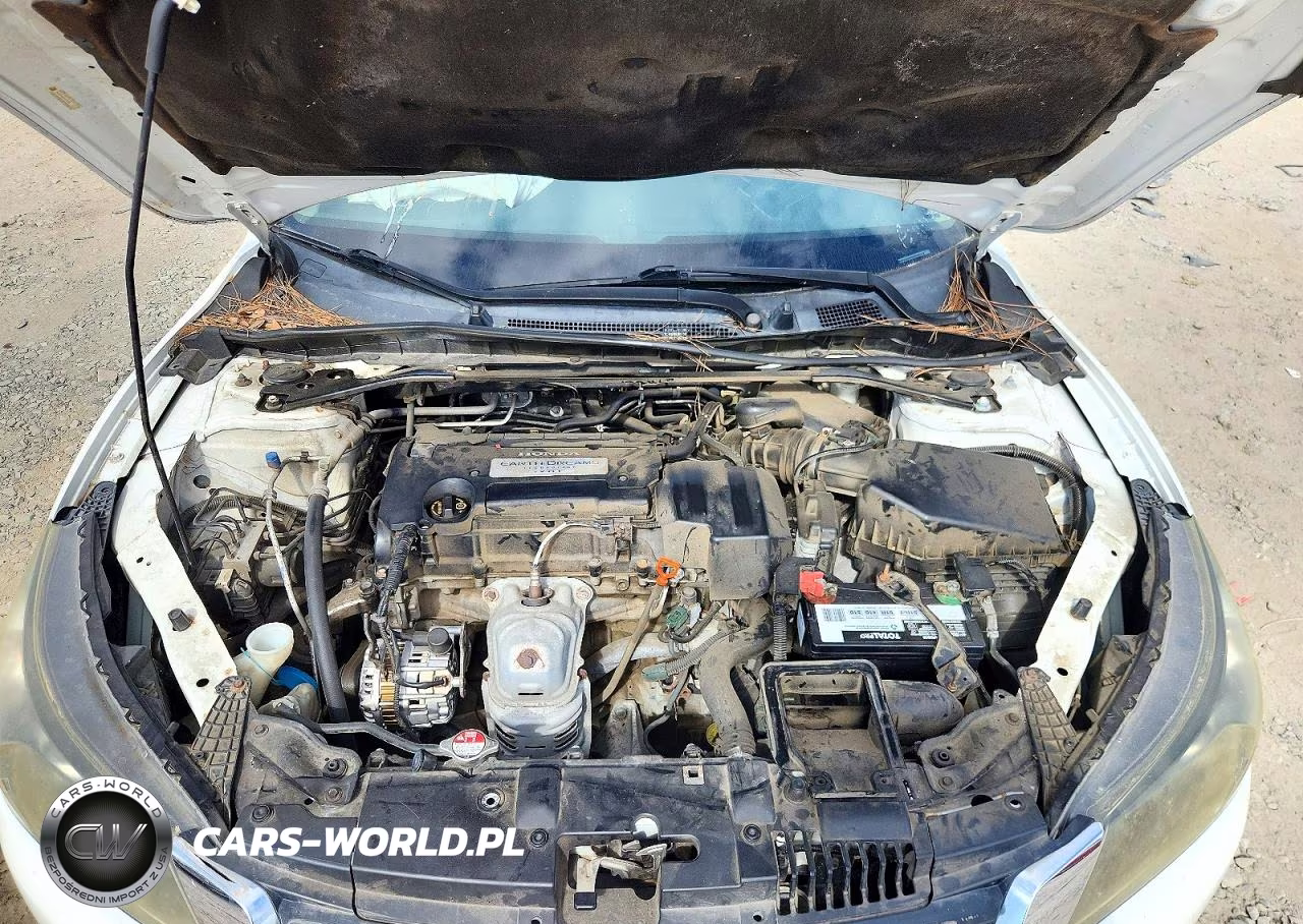 2013 Honda Accord Exl VIN:1HGCR2F81DA175158 - 11