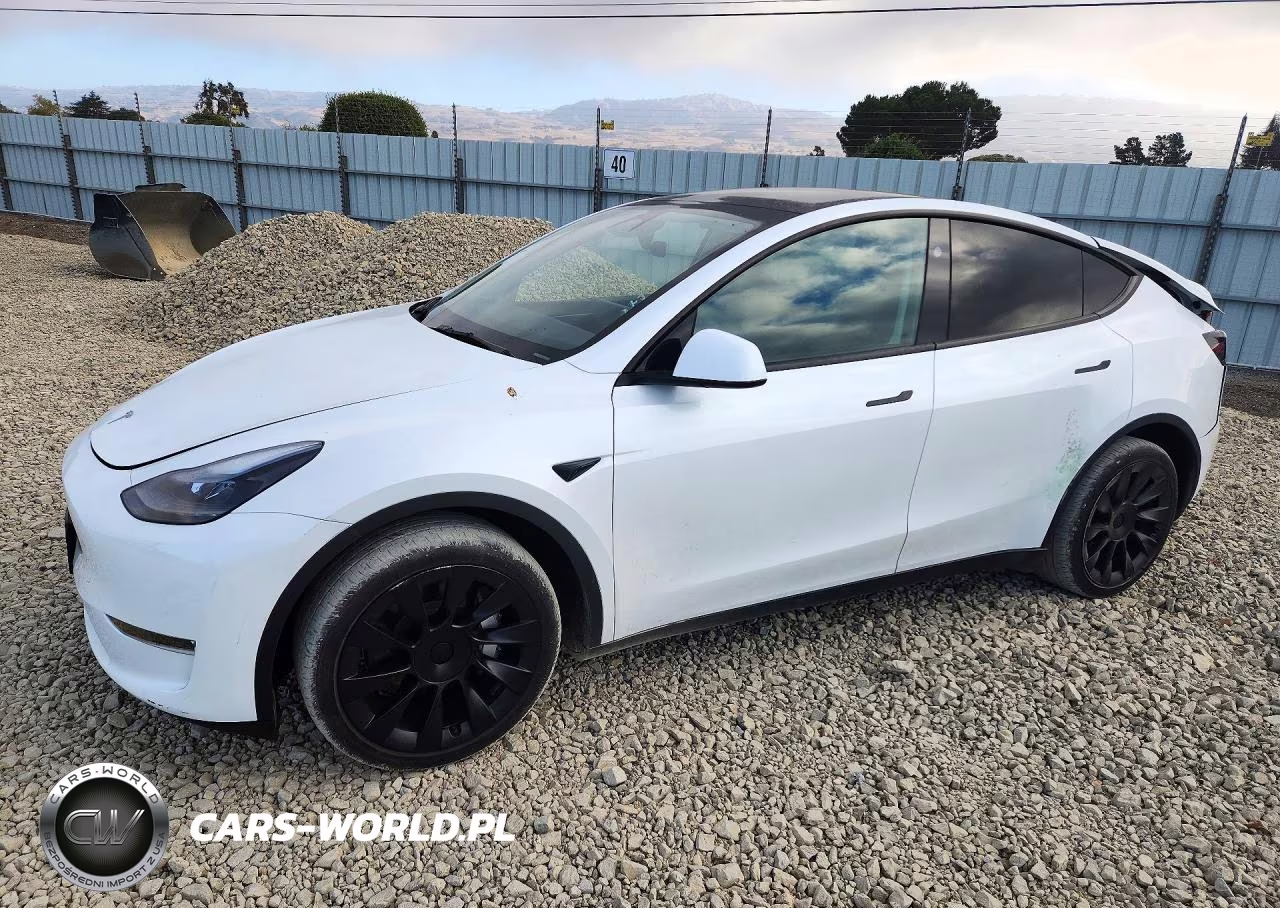 2024 Tesla Model Y – zdjęcie 1 z 13