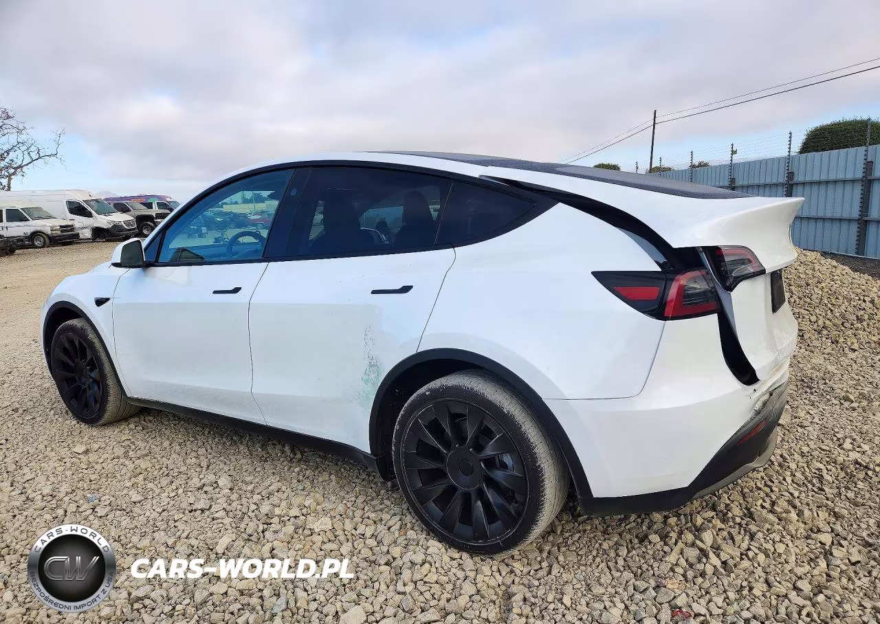 2024 Tesla Model Y VIN:7SAYGDEE9RA259854 - 2
