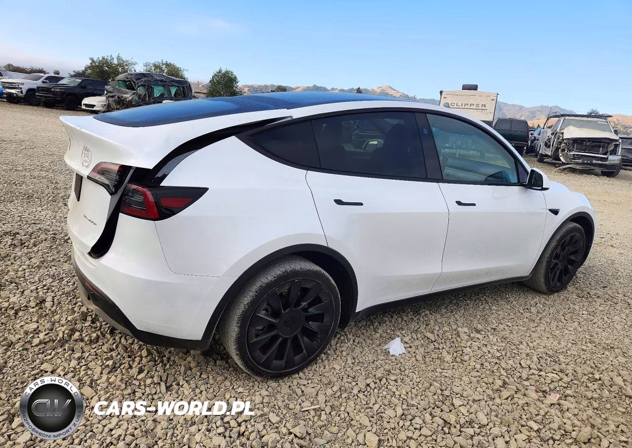 2024 Tesla Model Y VIN:7SAYGDEE9RA259854 - 3