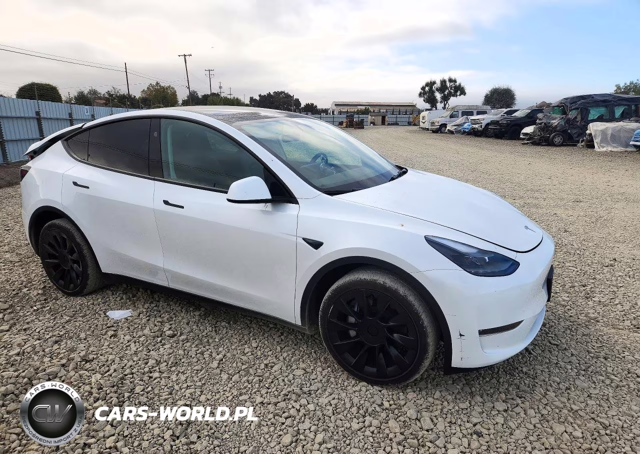 2024 Tesla Model Y VIN:7SAYGDEE9RA259854 - 4