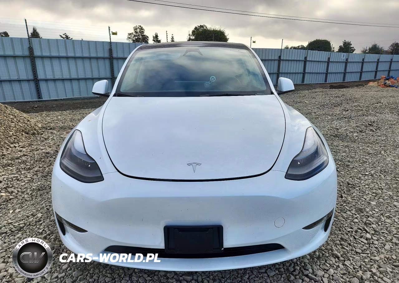 2024 Tesla Model Y VIN:7SAYGDEE9RA259854 - 5