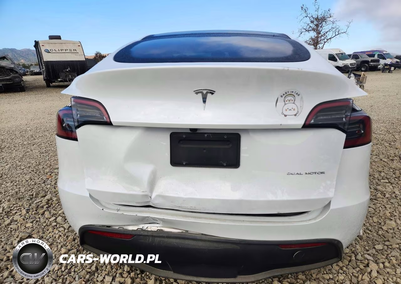 2024 Tesla Model Y VIN:7SAYGDEE9RA259854 - 6