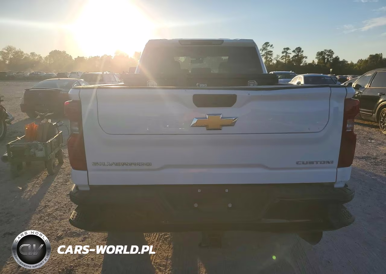 2023 Chevrolet Silverado K2500 Custom VIN:2GC4YMEY6P1725973 - 6