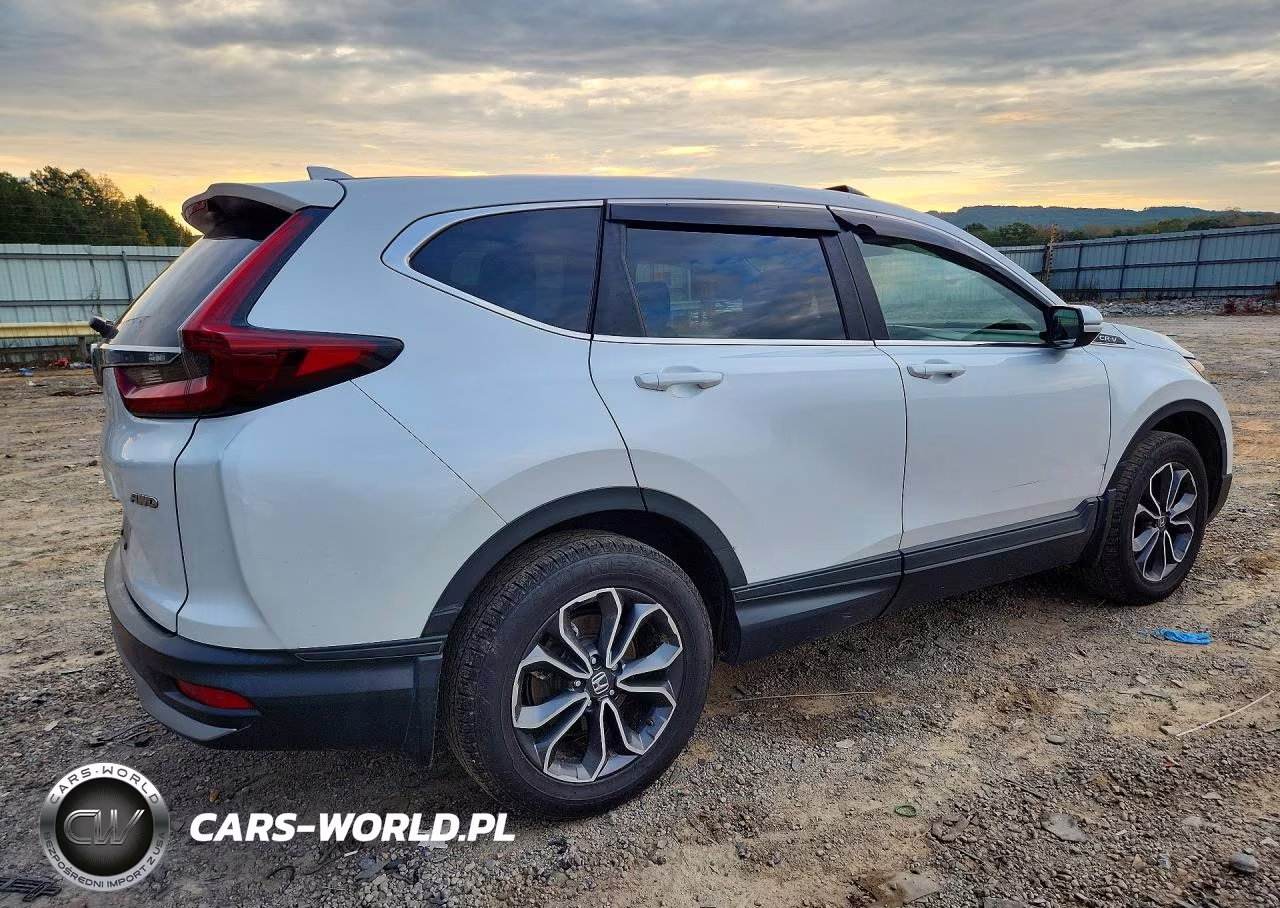 2021 Honda Cr-V VIN:5J6RW2H58ML022313 - 3