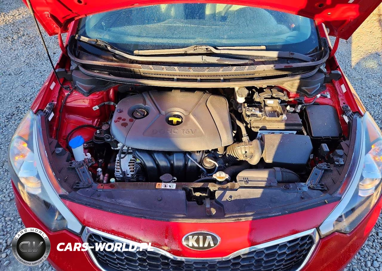2016 Kia Forte Lx VIN:KNAFX4A61G5590154 - 11