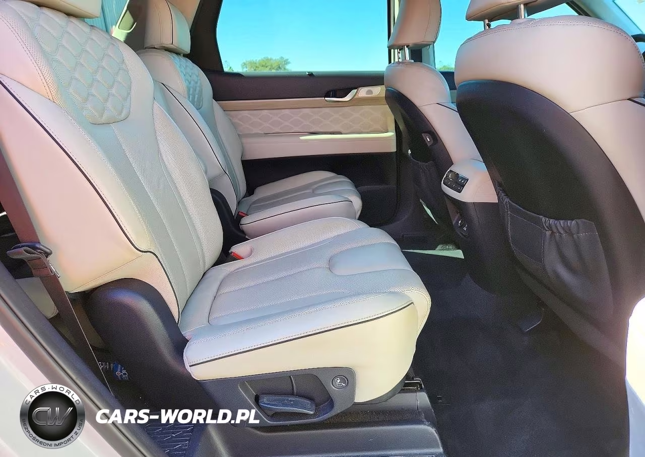 2021 Hyundai Palisade Calligraphy VIN:KM8R74HEXMU306420 - 11