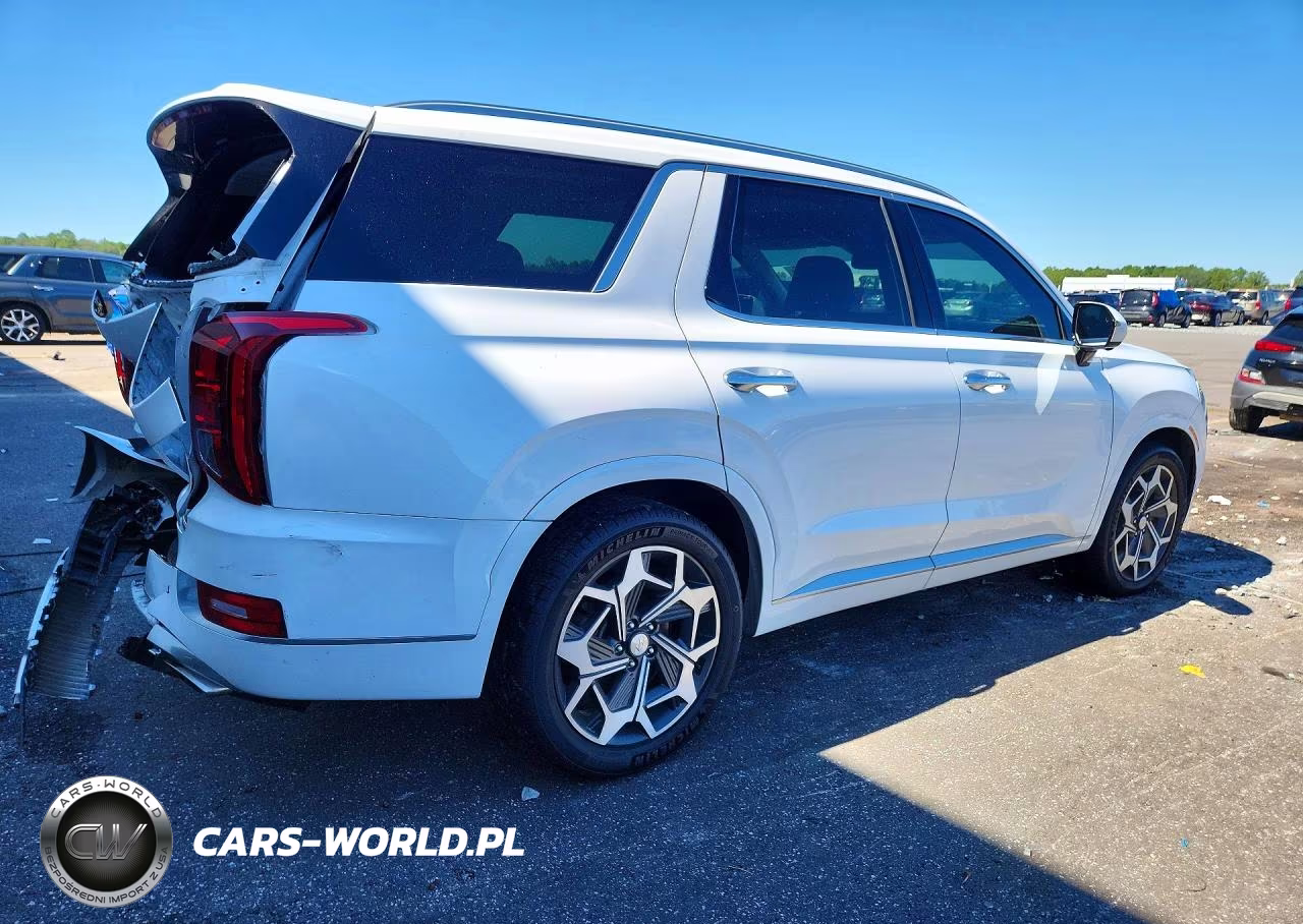 2021 Hyundai Palisade Calligraphy VIN:KM8R74HEXMU306420 - 3