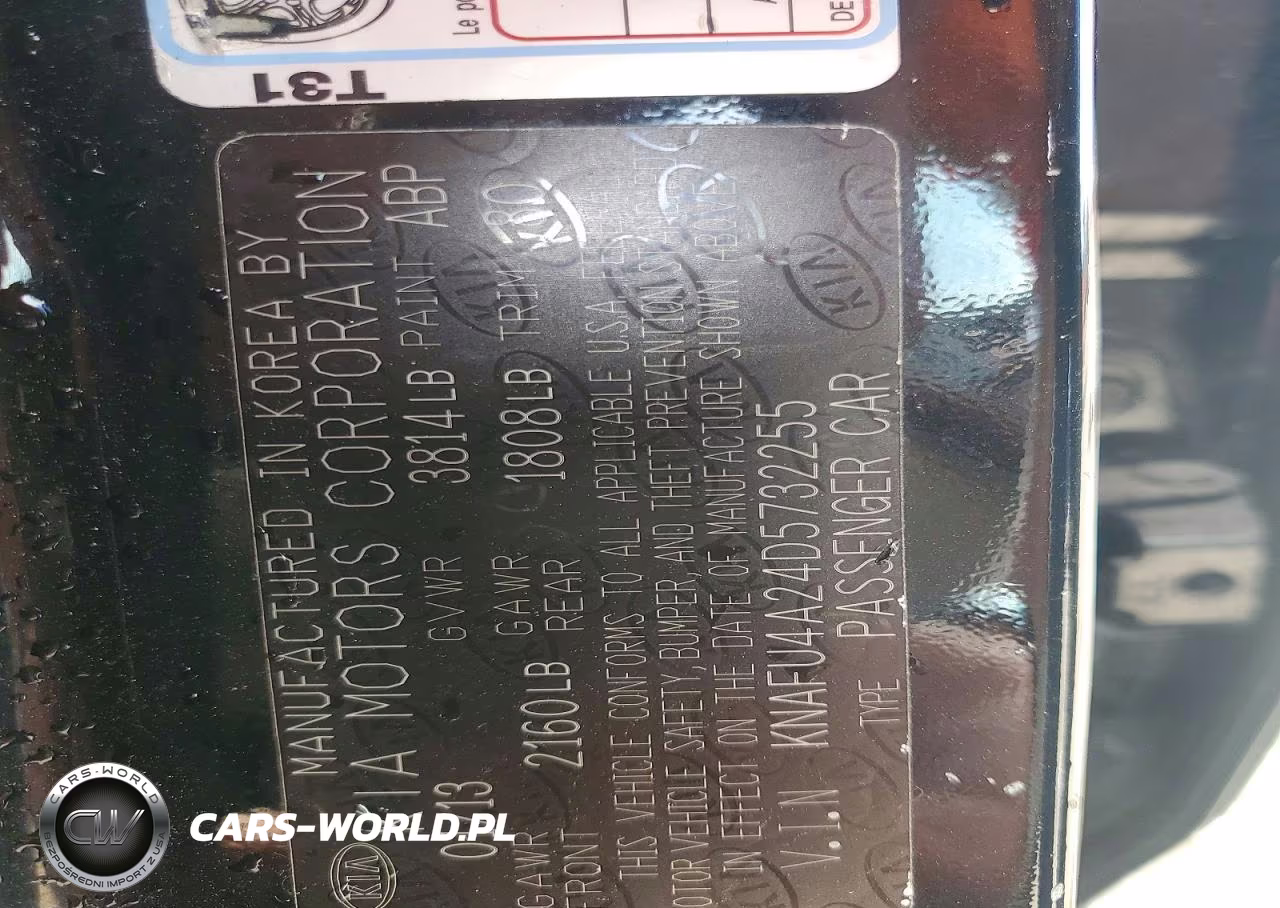2013 Kia Forte Ex VIN:KNAFU4A24D5732255 - 13