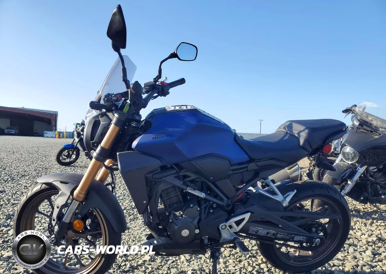 2020 Honda Cbf300 Na VIN:MLHNC5558L5000055 - 3