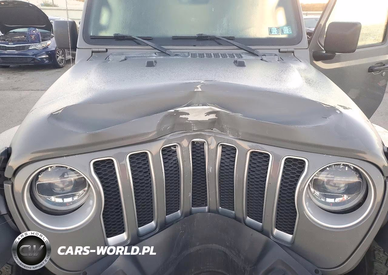2020 Jeep Wrangler Unlimited Sahara VIN:1C4HJXEN4LW219333 - 12