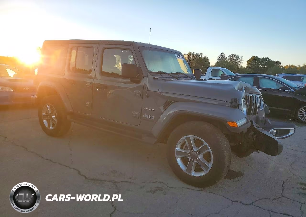 2020 Jeep Wrangler Unlimited Sahara VIN:1C4HJXEN4LW219333 - 4