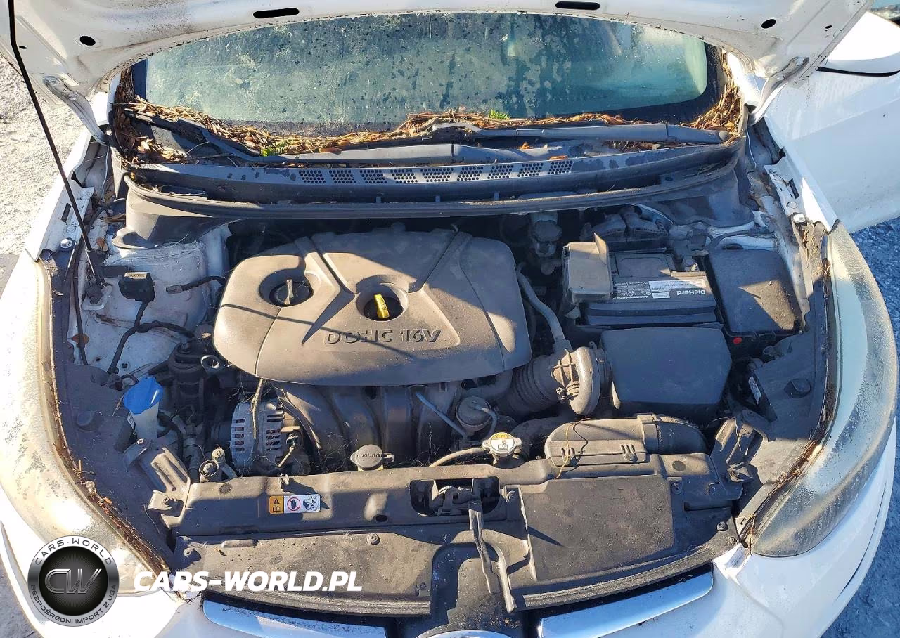 2014 Hyundai Elantra Se VIN:5NPDH4AE7EH525515 - 11