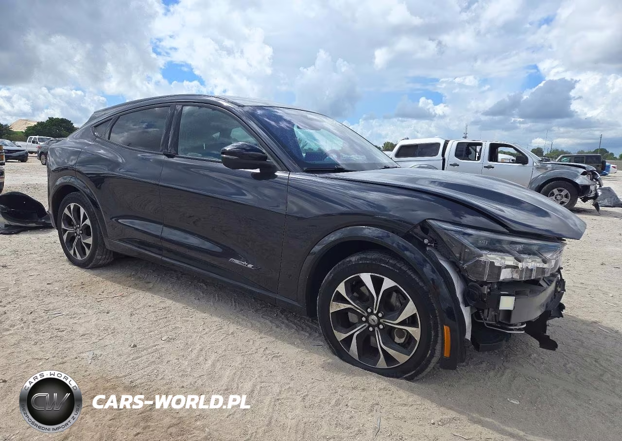 2021 Ford Mustang Mach-E Premium VIN:3FMTK3R78MMA65198 - 4