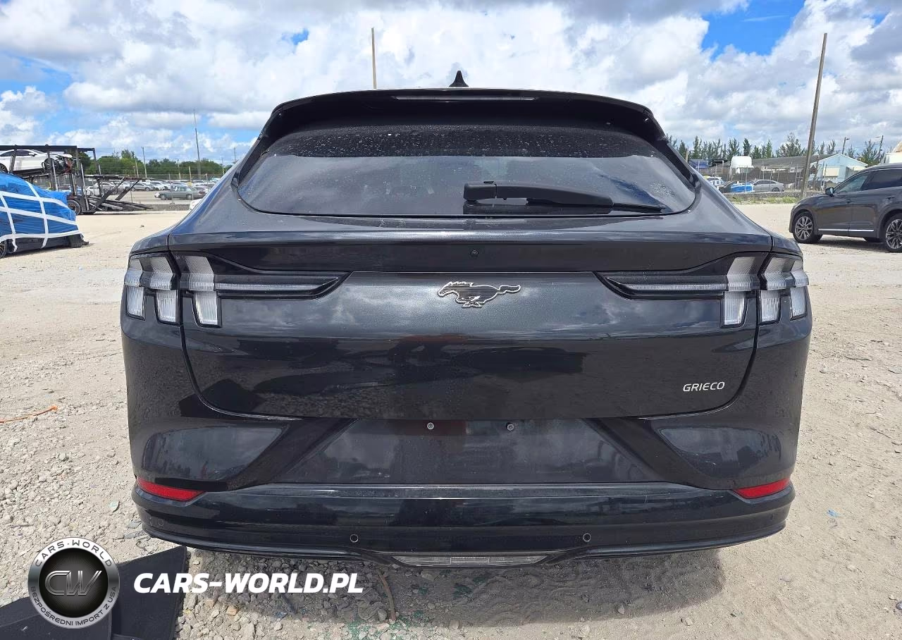 2021 Ford Mustang Mach-E Premium VIN:3FMTK3R78MMA65198 - 6