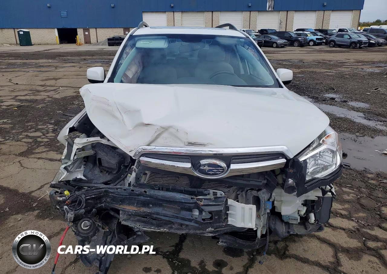 2016 Subaru Forester 2.5I Premium VIN:JF2SJAFC4GH462524 - 5