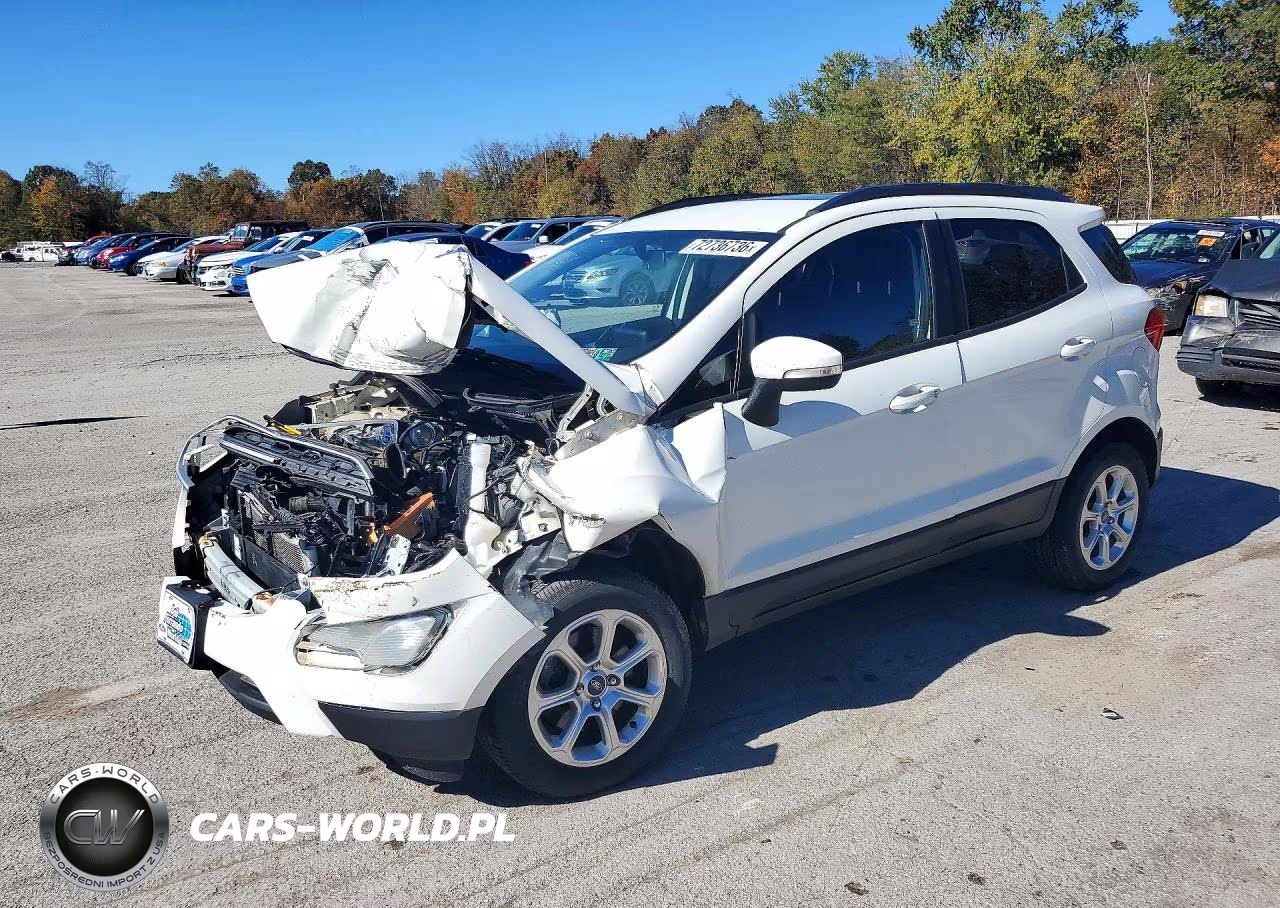 2019 Ford Ecosport Se VIN:MAJ6S3GL9KC253735 - 1
