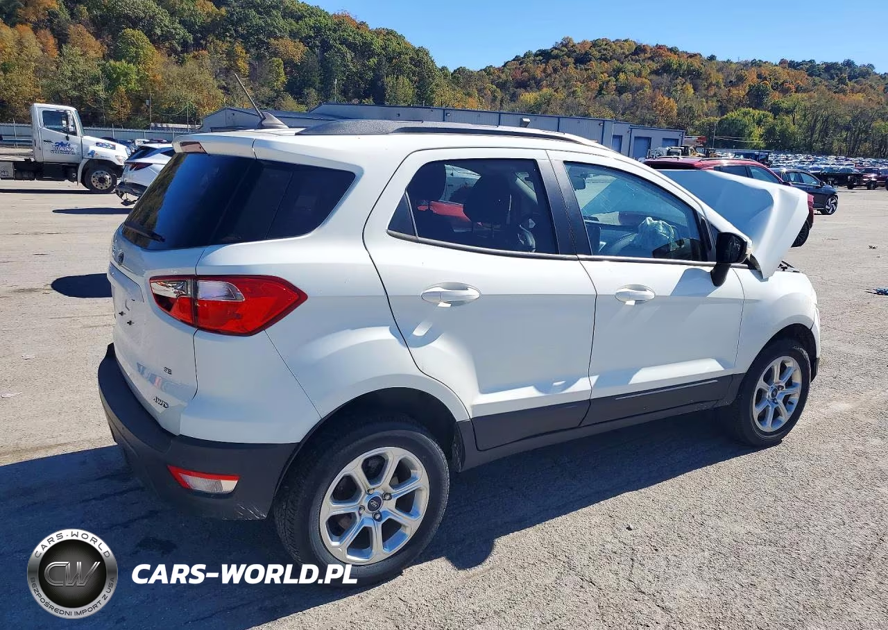 2019 Ford Ecosport Se VIN:MAJ6S3GL9KC253735 - 3