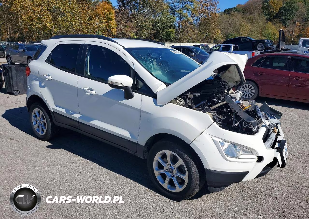 2019 Ford Ecosport Se VIN:MAJ6S3GL9KC253735 - 4