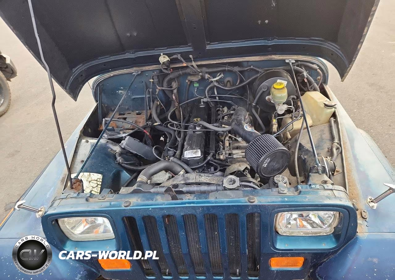 1995 Jeep Wrangler - Yj Se VIN:1J4FY29S0SP248756 - 11