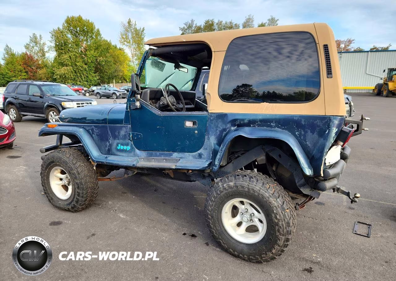 1995 Jeep Wrangler - Yj Se VIN:1J4FY29S0SP248756 - 2