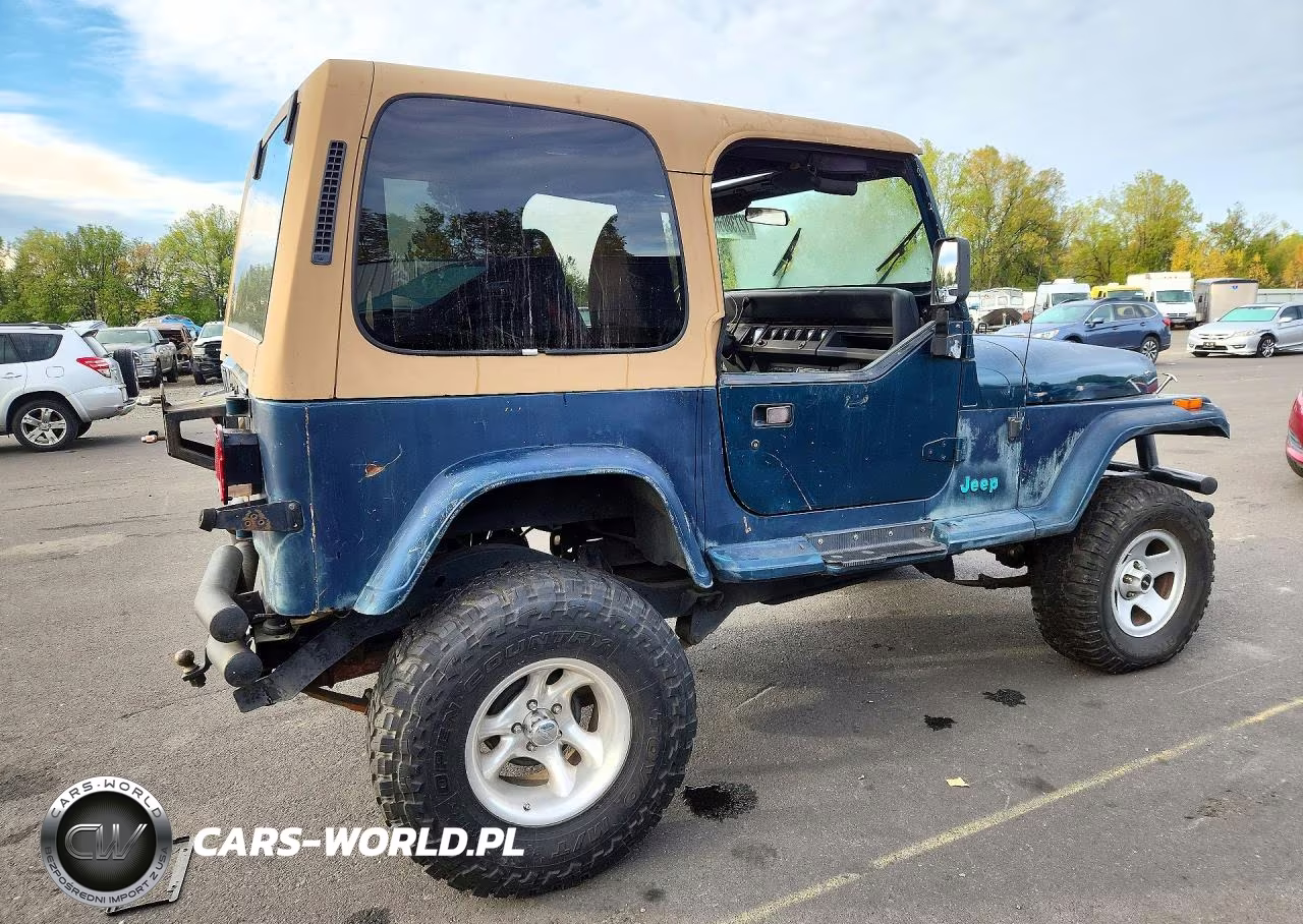 1995 Jeep Wrangler - Yj Se VIN:1J4FY29S0SP248756 - 3