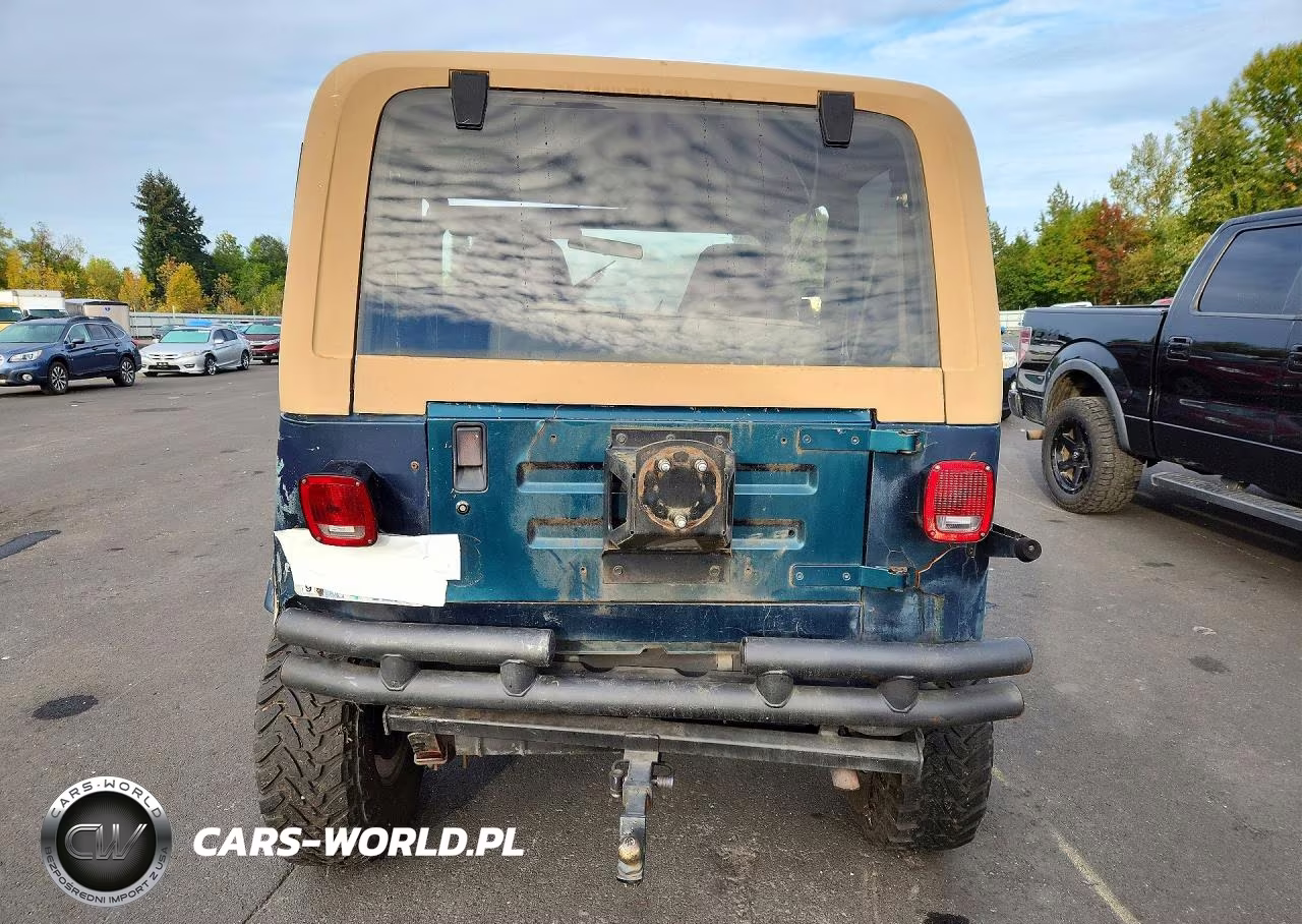 1995 Jeep Wrangler - Yj Se VIN:1J4FY29S0SP248756 - 6