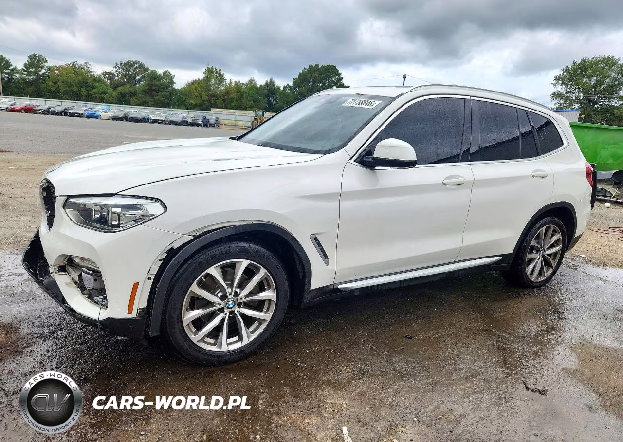 2019 BMW X3 Sdrive30I VIN:5UXTR7C50KLF29891 - 1
