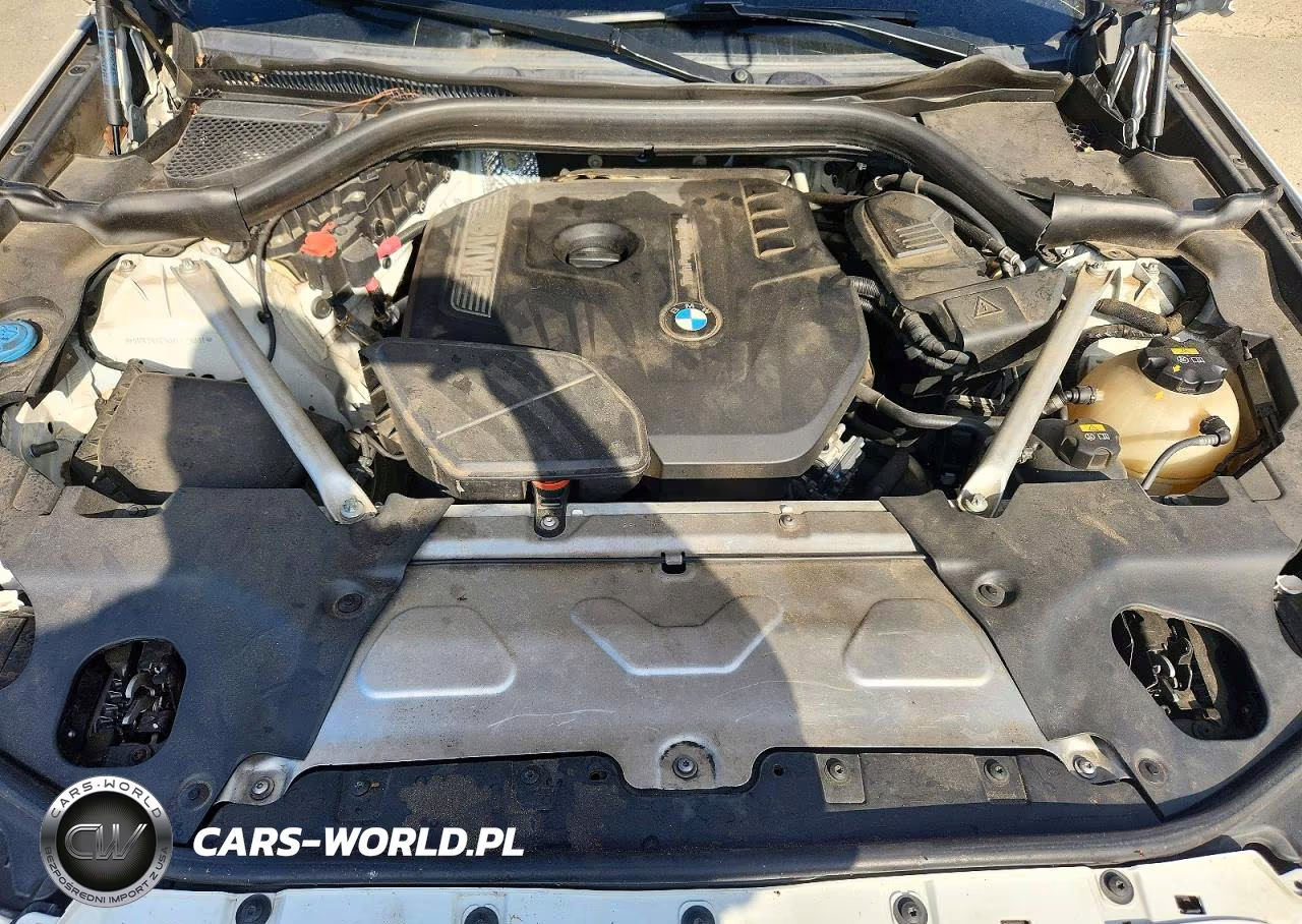 2019 BMW X3 Sdrive30I VIN:5UXTR7C50KLF29891 - 12