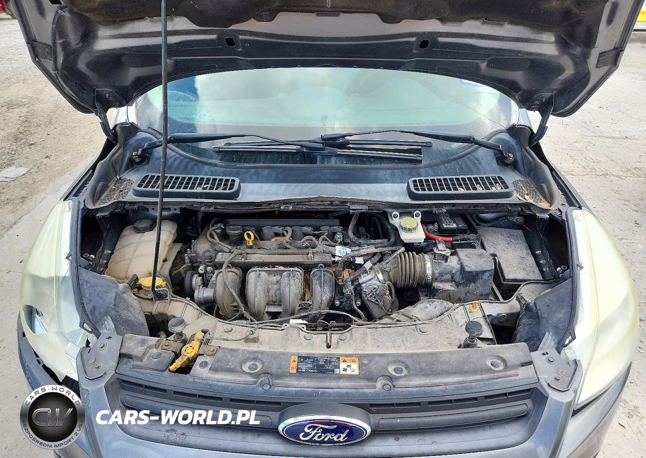 2014 Ford Escape S VIN:1FMCU0F70EUC44460 - 12