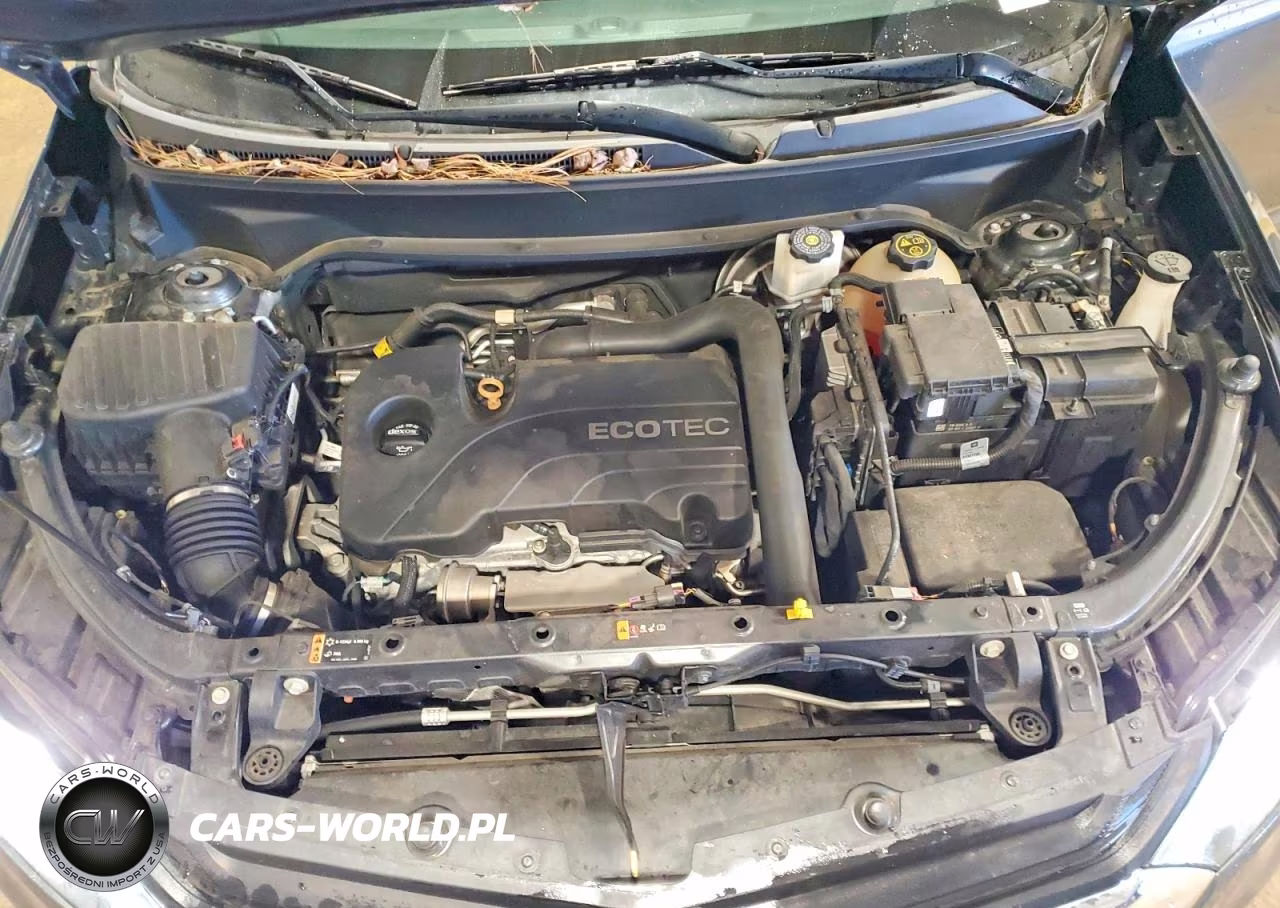 2018 Chevrolet Equinox Lt VIN:2GNAXJEV0J6270016 - 12