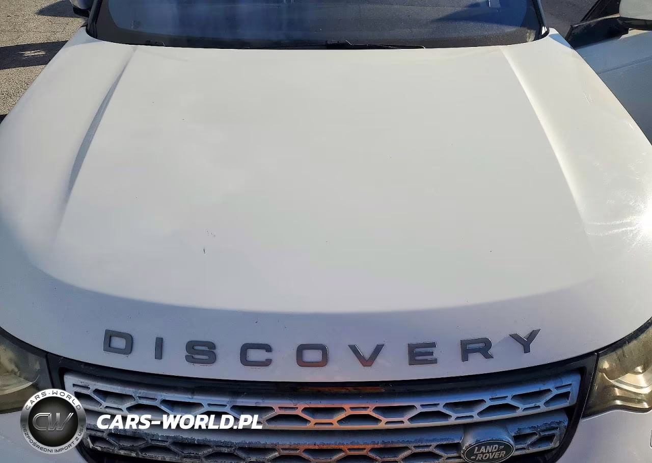 2017 Land Rover Discovery Hse VIN:SALRRBBV9HA045048 - 12