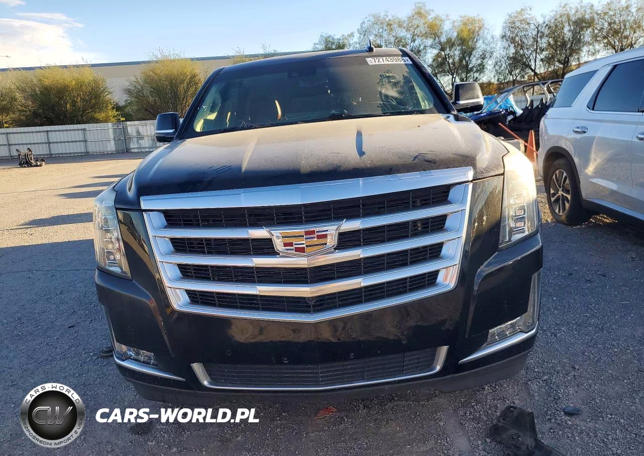 2019 Cadillac Escalade Esv Premium Luxury VIN:1GYS4JKJ3KR276688 - 5