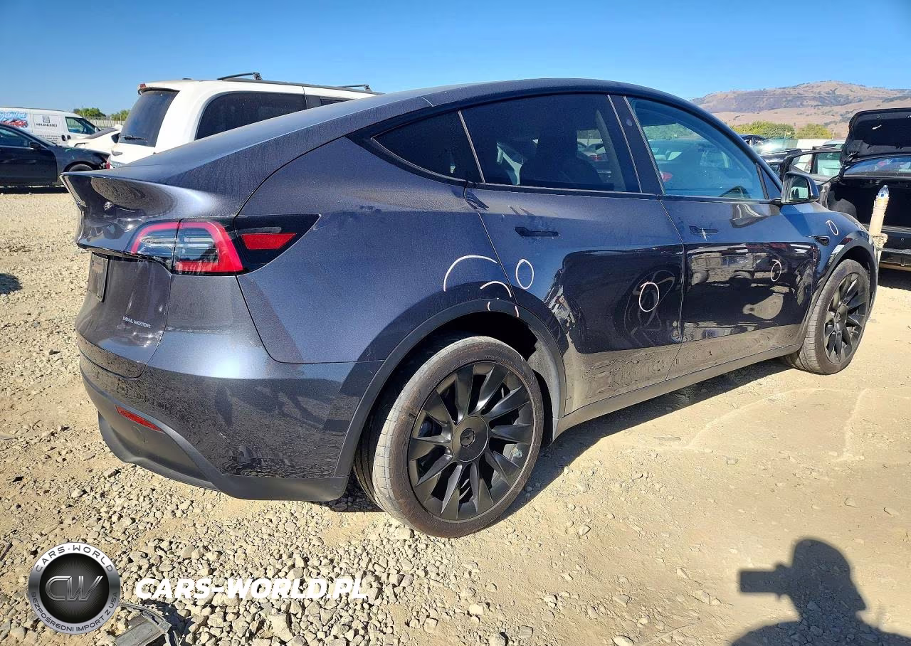 2023 Tesla Model Y VIN:7SAYGAEE0PF827889 - 3