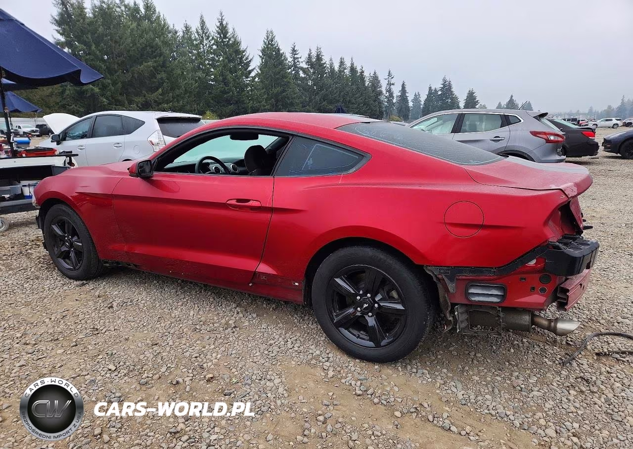 2018 Ford Mustang VIN:1FA6P8TH9J5119231 - 2