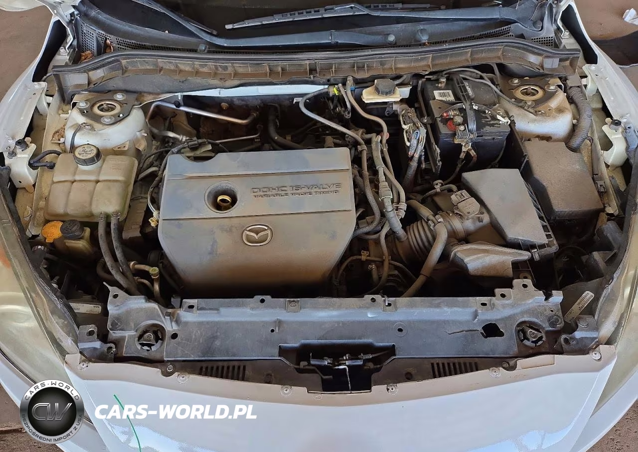 2010 Mazda 3 I VIN:JM1BL1SG2A1217464 - 11