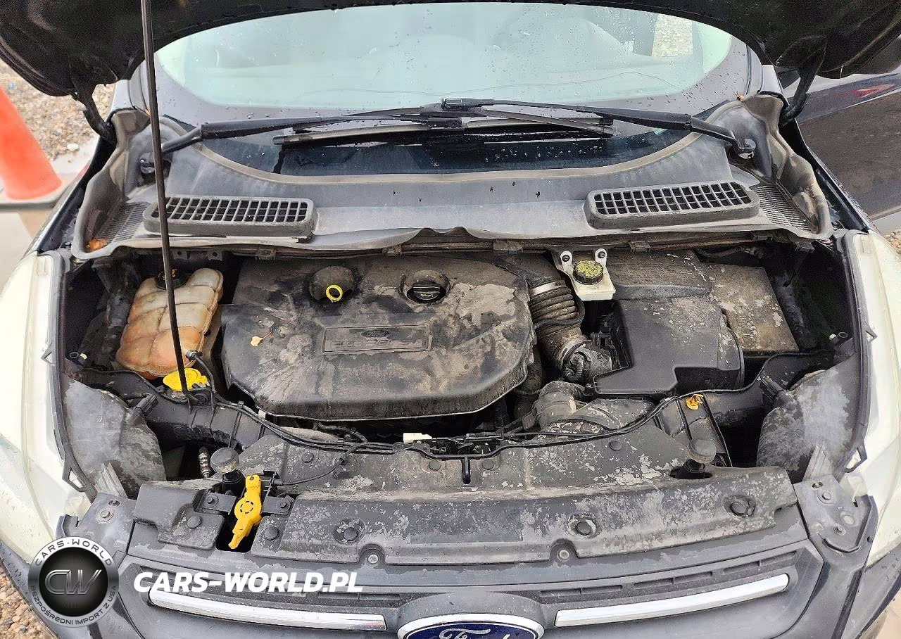 2015 Ford Escape Se VIN:1FMCU9G93FUA63861 - 11