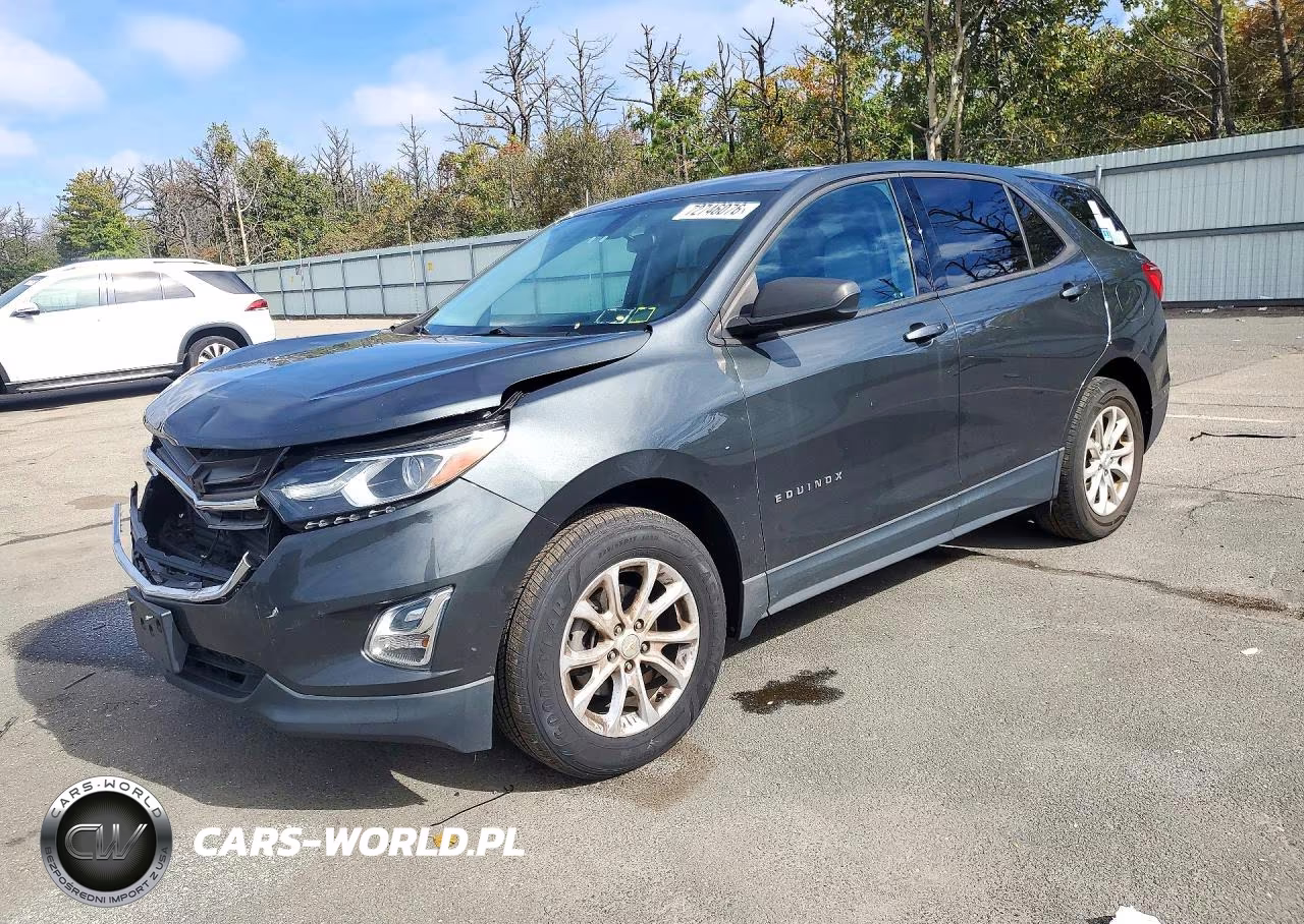 2019 Chevrolet Equinox Ls – zdjęcie 1 z 13