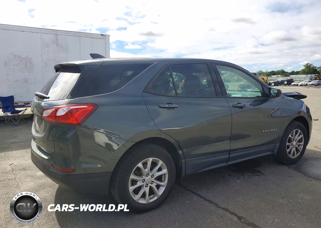 2019 Chevrolet Equinox Ls VIN:3GNAXHEV4KS641836 - 3