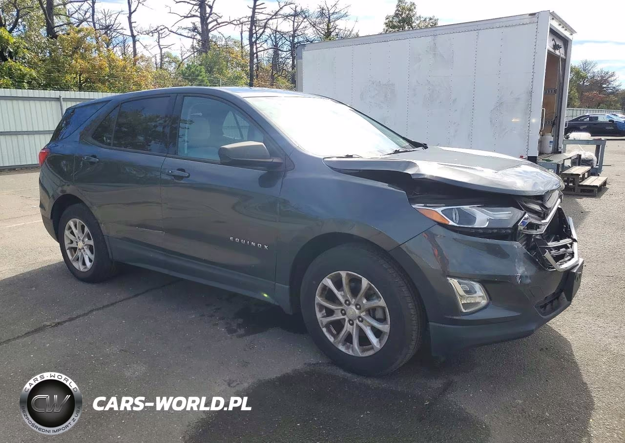 2019 Chevrolet Equinox Ls VIN:3GNAXHEV4KS641836 - 4