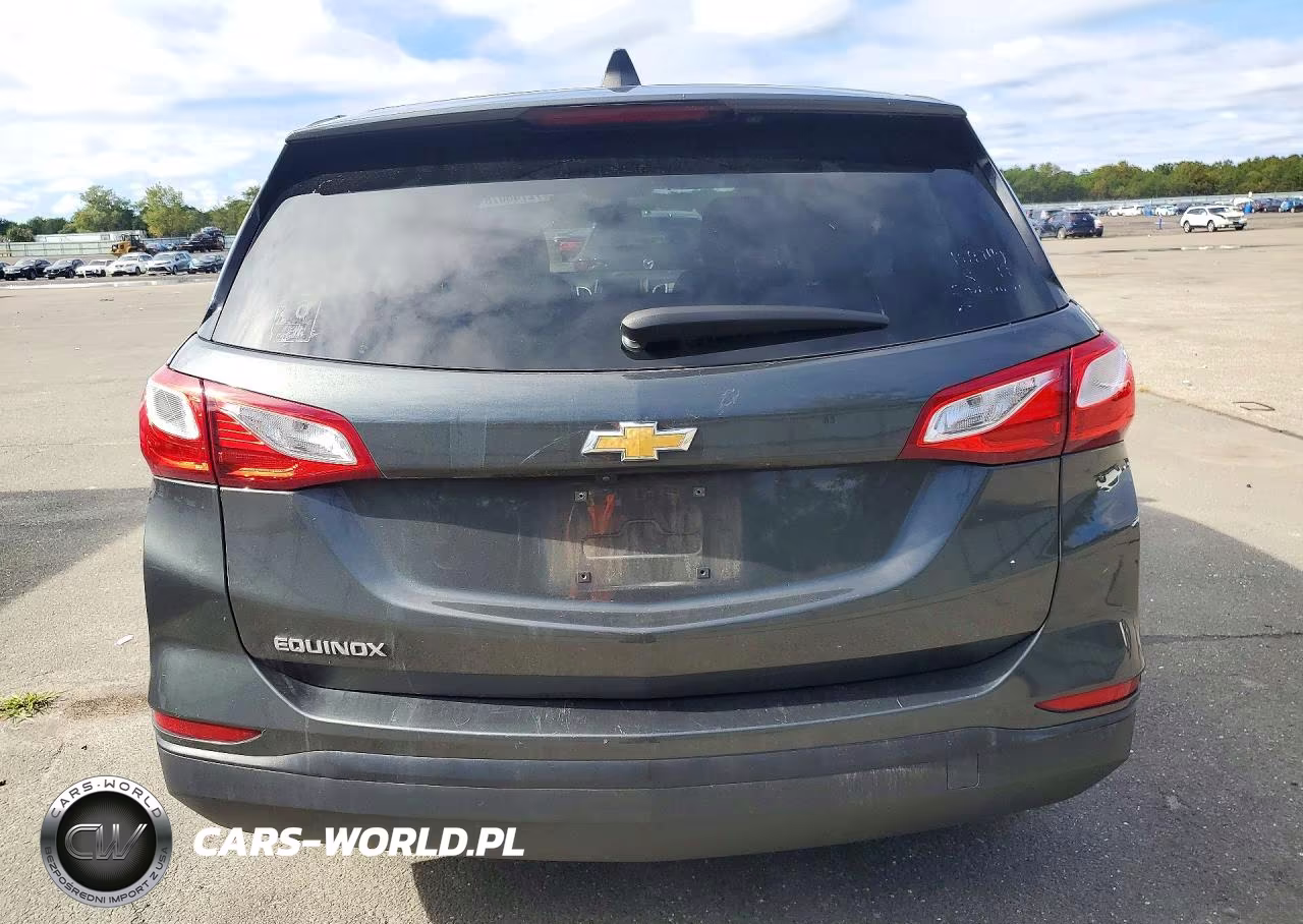 2019 Chevrolet Equinox Ls VIN:3GNAXHEV4KS641836 - 6