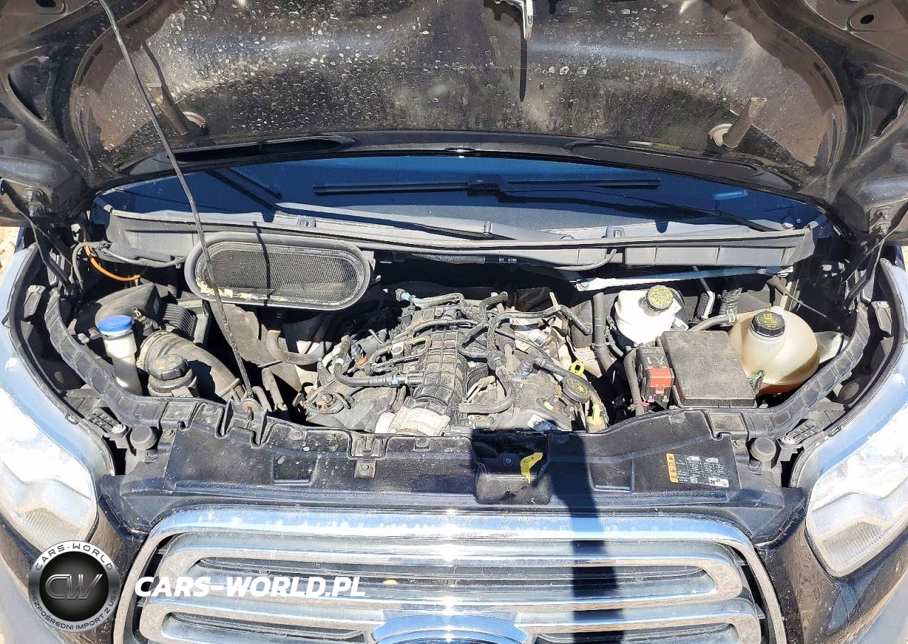2019 Ford Transit T-350 VIN:1FTBW2DG9KKA66144 - 12