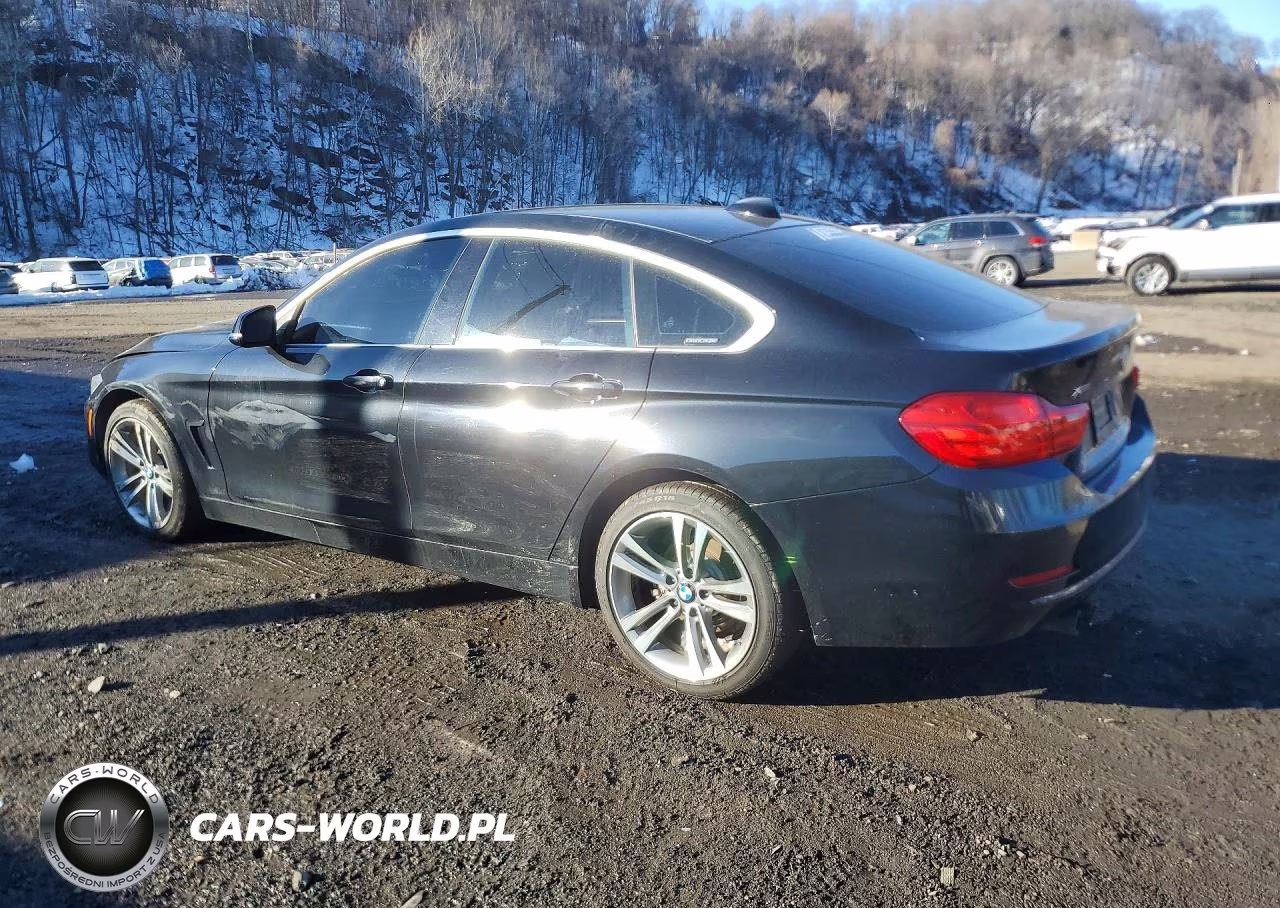 2016 BMW 428 Xi Gran Coupe Sulev VIN:WBA4C9C58GG141014 - 2