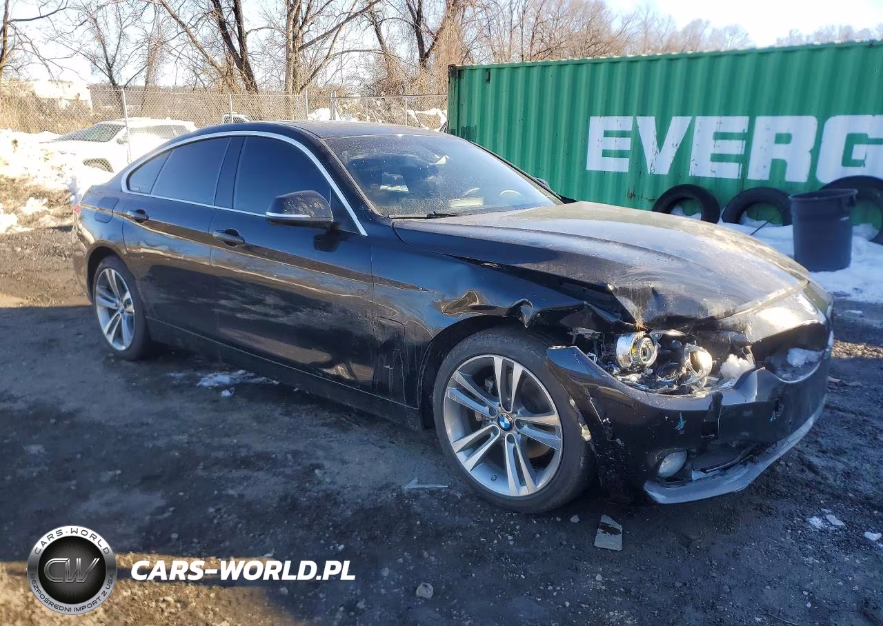 2016 BMW 428 Xi Gran Coupe Sulev VIN:WBA4C9C58GG141014 - 4