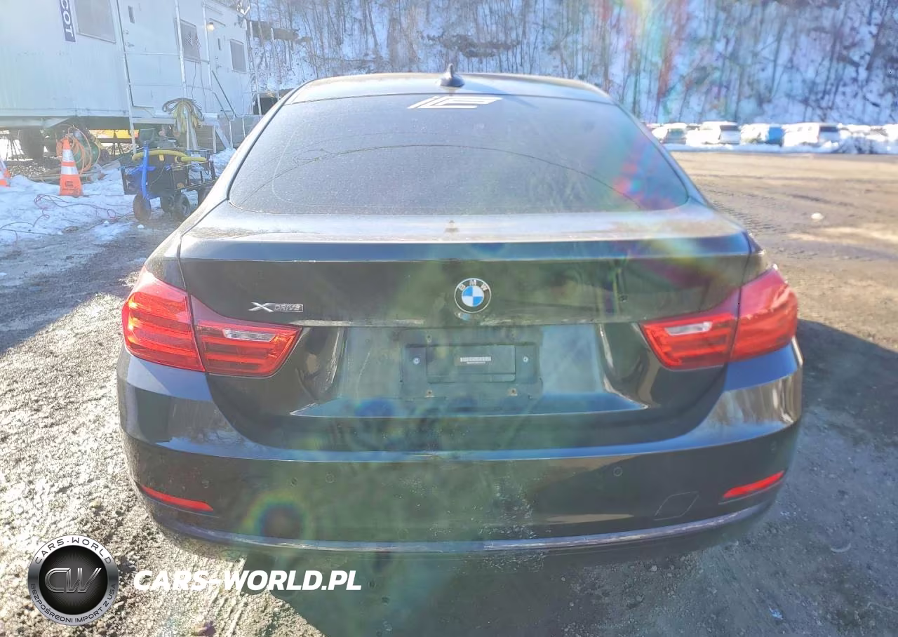 2016 BMW 428 Xi Gran Coupe Sulev VIN:WBA4C9C58GG141014 - 6