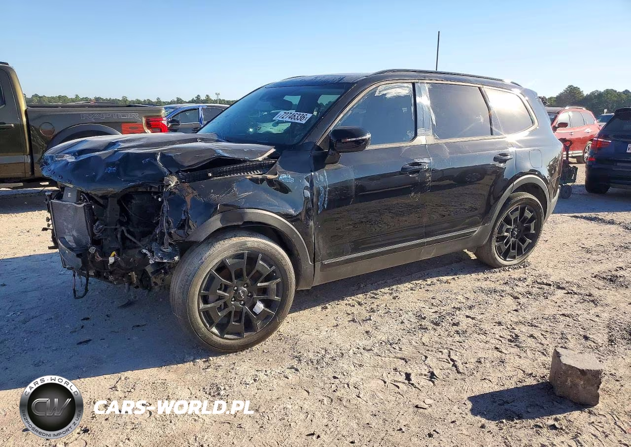 2022 Kia Telluride Sx VIN:5XYP5DHC3NG313678 - 1